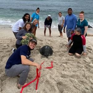 Garrison Ferone’23 at right, front after measuring, weighing, and checking the respiration of a sea turtle in the Galapagos.